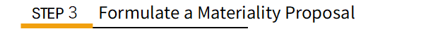 STEP3 Formulate a materiality proposal